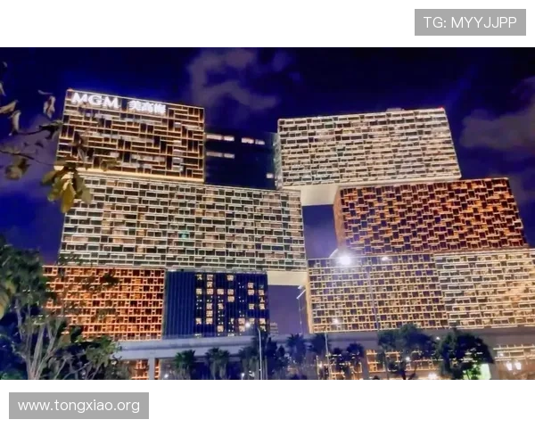 澳门美高美线上线下同步运营,掌握最新玩法和优惠信息提升游戏体验
